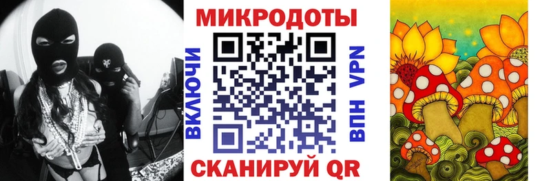 дарнет шоп  Морозовск  Галлюциногенные грибы Magic Shrooms 